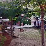 Garden Palace Boutique Hotel