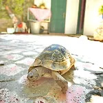 Garden Palace Boutique Hotel Kusadası