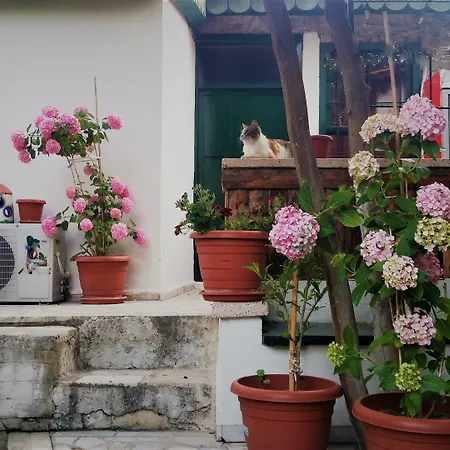 Garden Palace Boutique 2*