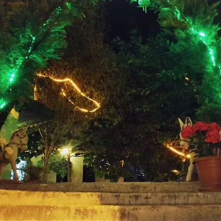 Garden Palace Boutique קוסדסי