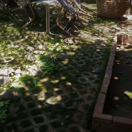 מלון Garden Palace Boutique קוסדסי