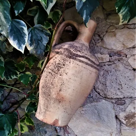 Garden Palace Boutique מלון