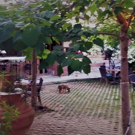 Garden Palace Boutique מלון