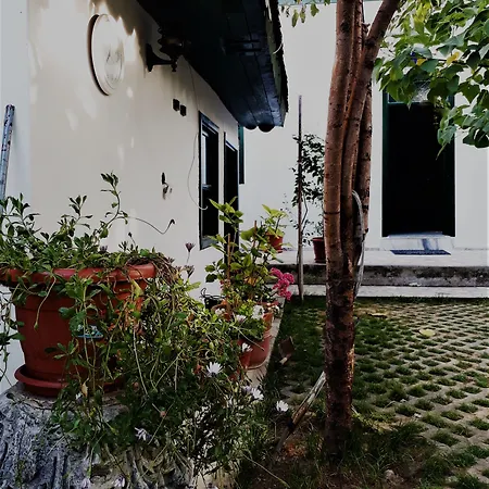 Garden Palace Boutique