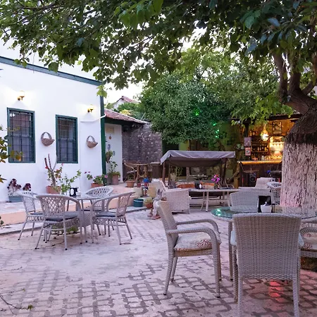 Garden Palace Boutique מלון 2*