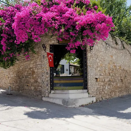 Garden Palace Boutique 2* קוסדסי