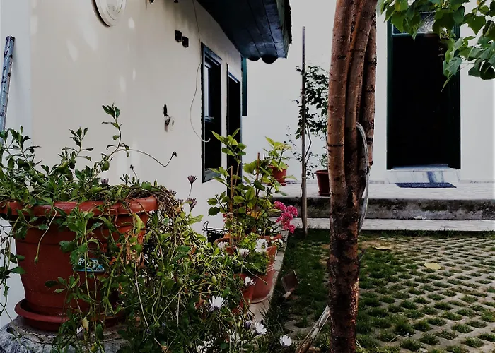 Garden Palace Boutique