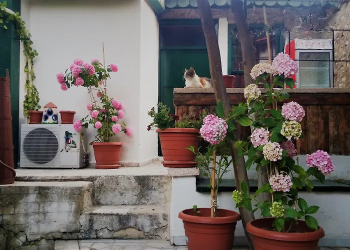 Garden Palace Boutique 2*