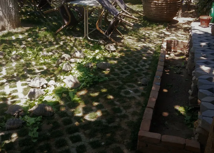 Hotel Garden Palace Boutique Kusadasi